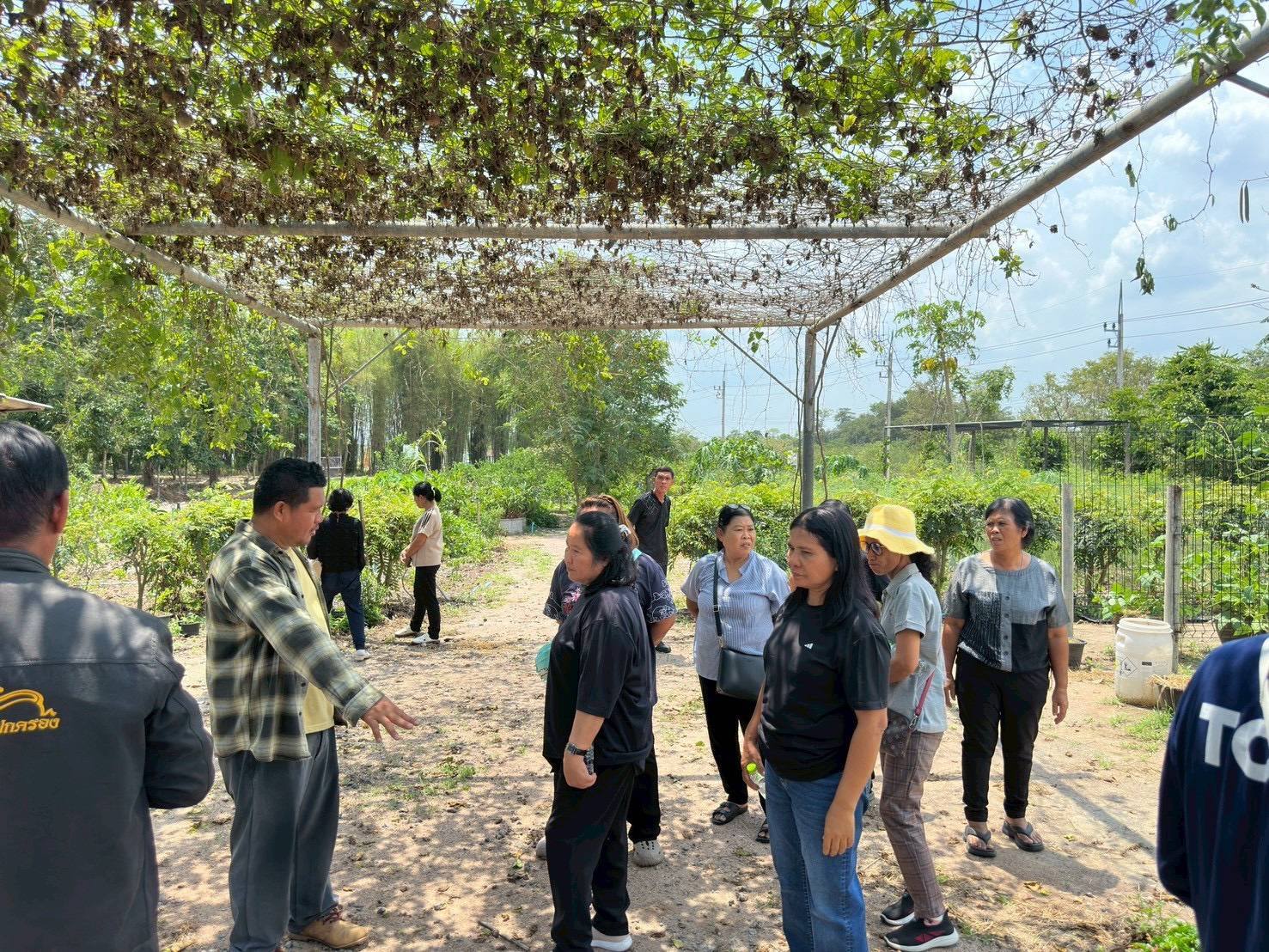 title - ส.ป.ก.พระนครศรีอยุธยา จัดการศึกษาดูงานโครงการที่ดินพระราชทานจังหวัดพระนครศรีอยุธยา ปีงบประมาณ พ.ศ. ๒๕๖๙ หลักสูตร การศึกษาดูงานการพัฒนาตามแนวทางพระราชดำริ ซึ่งได้รับเกียรติจากนางวิไลกัลยา สาริพันธ์ ปฏิรูปที่จังหวัดระยอง ให้การต้อนรับและอำนวยความสะดวก ณ ศูนย์บริการการพัฒนาปลวกแดงตามพระราชดำริ จังหวัดระยอง